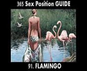 फ्लेमिंगो सेक्स पोजीशन - इंस्टाग्राम पर मशहूर पिंक फ्लेमिंगो बर्ड से प्रेरित सेक्स पोजीशन। पत्नी को ऑर्गेज्म देने के लिए बेस्ट सेक्स पोजीशन। (नई 365 सेक्स पोजीशन कामसूत्र हिंदी में) from દિપીકા સેક્સ ફોટા