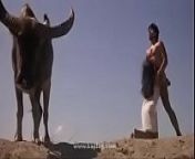 Sex in dessert, Anyone knows the moovie name? from caermpic insedian gred moovi fuckor sexy news videoideoian female news anchor sexy news videodai 3gp videos page xvideos com xvideos indian vid