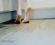 giantess foot crush from anime femdom giantess foot