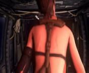 Quiet In The Chopper from metal gear solid st