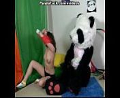 Titted brunette to have sex with huge toy panda from panda xxx
