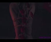 SANKTOR 037 - JAPANESE SLAVEGIRL IN SHIBARI BDSM VIDEO from pearl sushama erotic dance videos