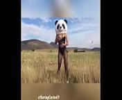En el campo, putita panda from odia singar asima panda
