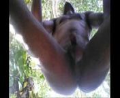 Desi Tarzan Boy Sex In Jungle With Big Tree from desi gay wood