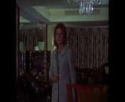 The Stewardesses (1969) from the abnormal female 1969