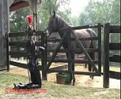 Ponygirl Barn 2 from emma grange