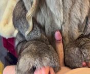 Fur Fetish Couple - Alessia is wearing a Double Furcoat, Handjob, Doggysex & Cumshot on Fur from copulsex