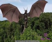 DOTA dragons season 4 episode 1 s04e01 Princess Skyla Pink vs the shady knight xxx from gril shadi wale shugraat xxx videos com