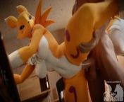 Renamon Getting Pounded Doggystyle Animation with Creampie (angle 2) from ww oldauntysexdownload@gmail com