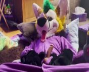 Fursuiter in a kigu masturbating from mommy’s little fuckers