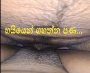 හයියෙන් ගහන්න පණ | Sri Lanka Boy hard Rough New from xxx india sec bunny leon xxxx actress ops sex nudecha zauci